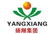 春江扬翔